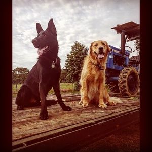 Meet your Posher, Emily